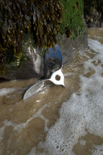 Vintage Polished Stainless Steel 3-Blade Boat Propellor