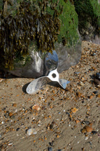 Vintage Polished Stainless Steel 3-Blade Boat Propellor