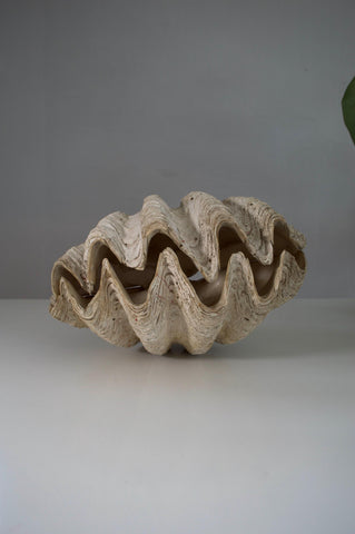Rare Antique Giant Tridacna Clam Shell – Natural Specimen, 14 Inches, Authentic Clam Centrepiece