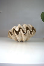 Rare Antique Giant Tridacna Clam Shell – Natural Specimen, 14 Inches, Authentic Clam Centrepiece